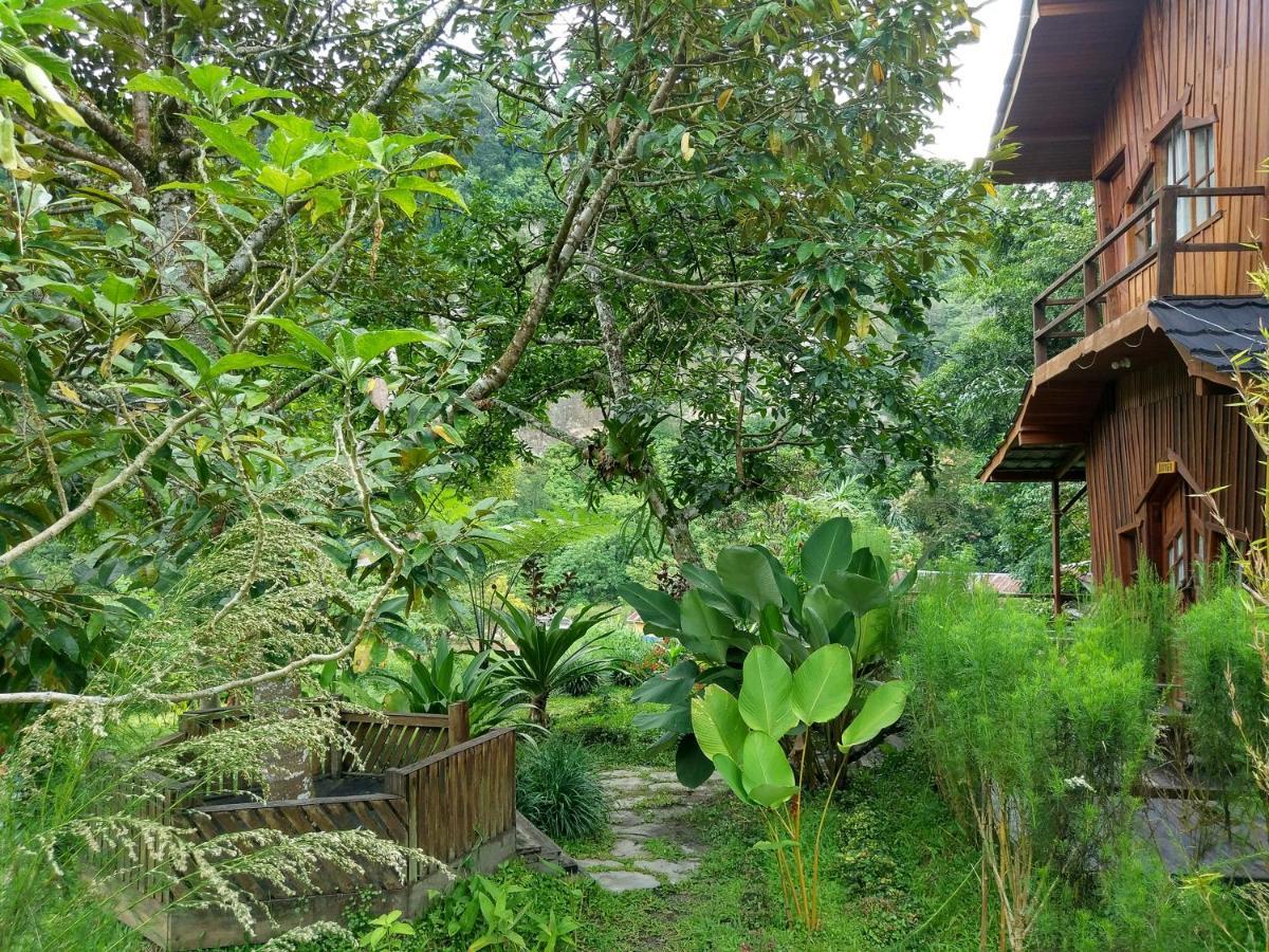 Canyon Jungle Stay Bukittinggi Exterior photo